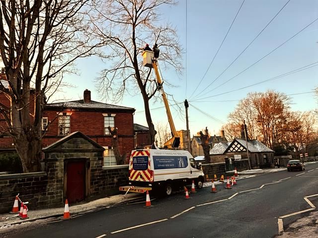 cherry-picker-4-kireth-ai
