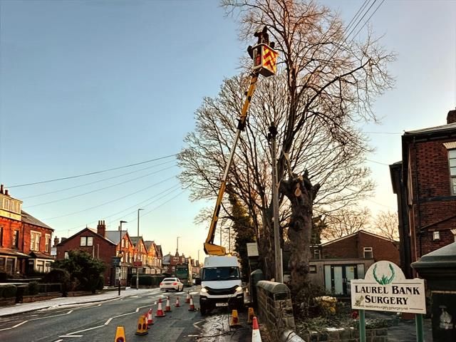 cherry-picker-7-kireth-ai